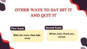 Read more about the article 220 Different Other Ways to Say Hit It and Quit It for 2025