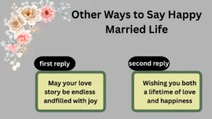 Read more about the article 220 Different Other Ways to Say Happy Married Life