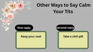 Read more about the article 220 Different  Other Ways to Say Calm Your Tits for 2025